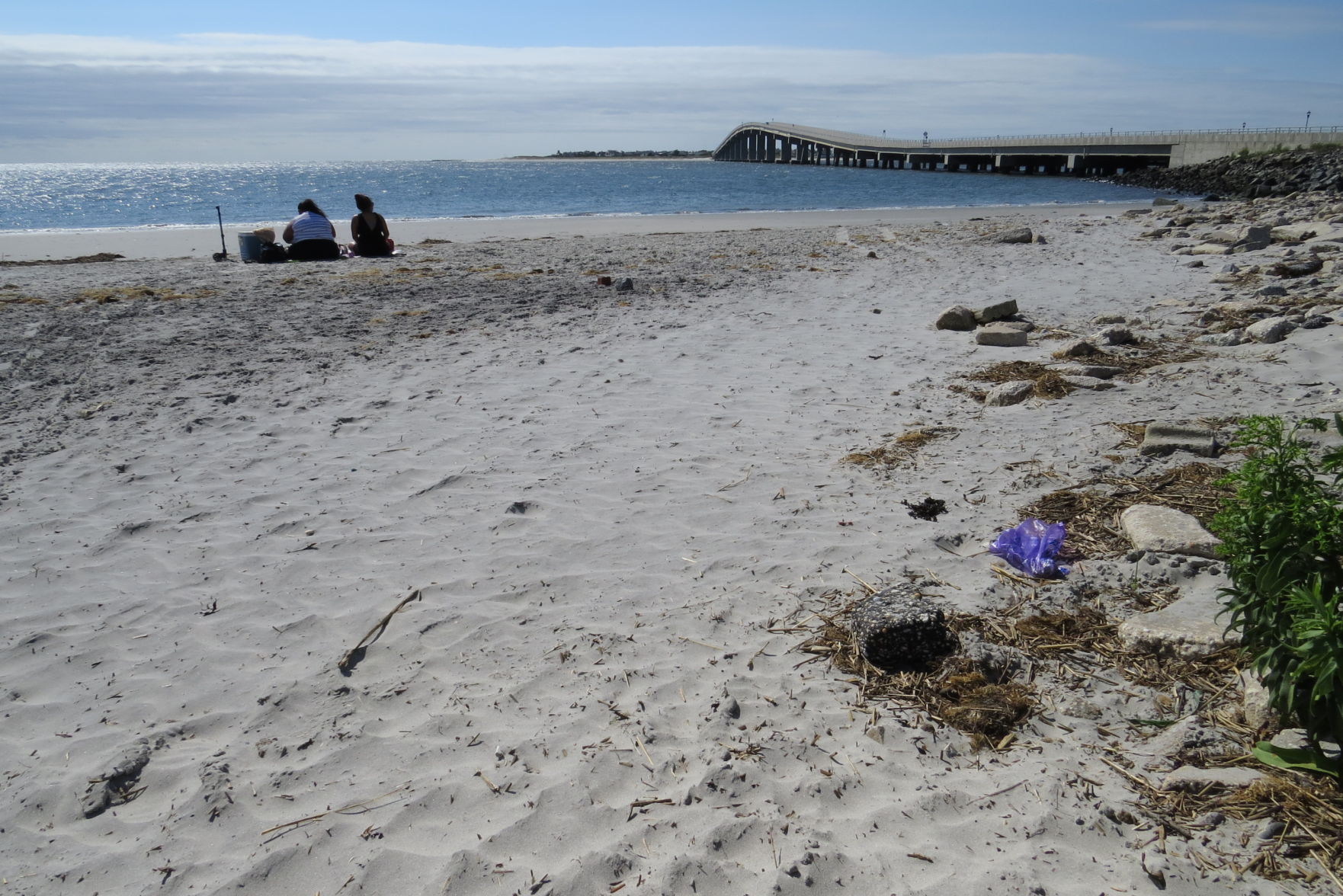 100816_urg_cdb_dogbeach (13).JPG